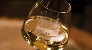 Domaine Sallet à Uchizy